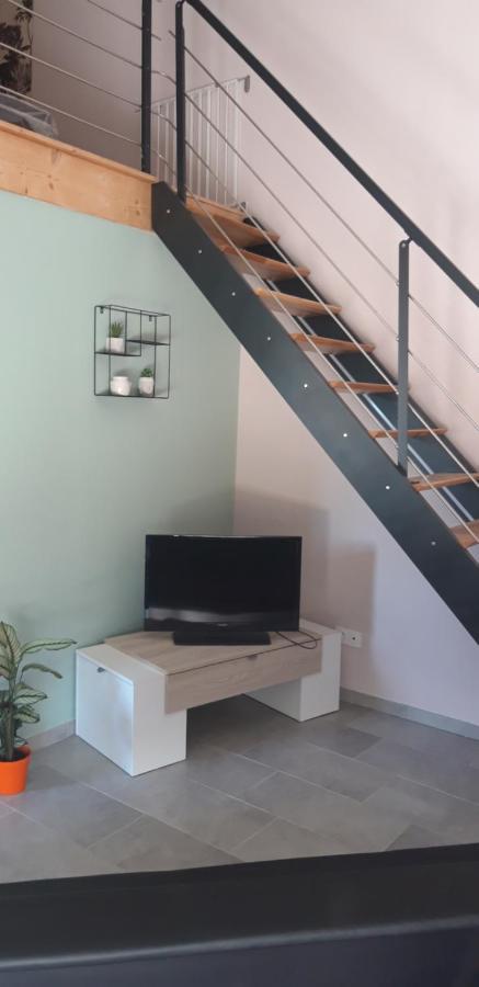 L Orchidee Apartment Saint-Martin-de-Saint-Maixent Exterior photo